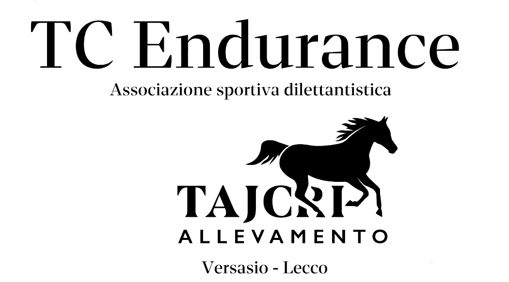 TC Endurance